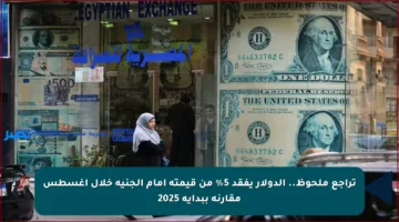 تراجع ملحوظ.. الدولار يفقد 5% من قيمته أمام الجنيه خلال أغسطس مقارنة ببداية 2025
